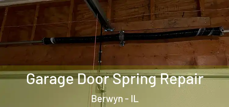  Garage Door Spring Repair Berwyn - IL