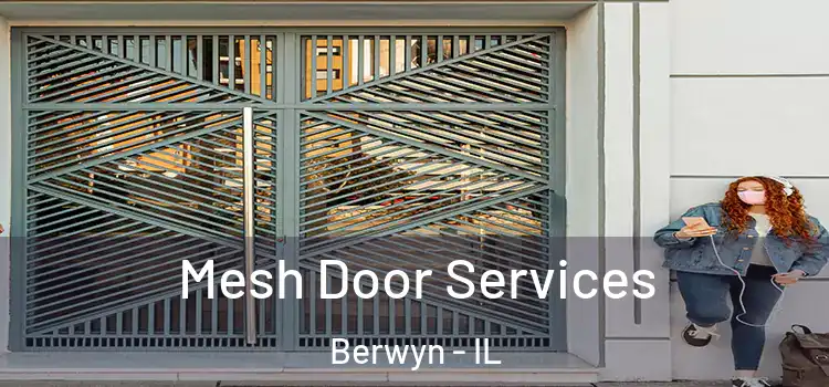 Mesh Door Services Berwyn - IL