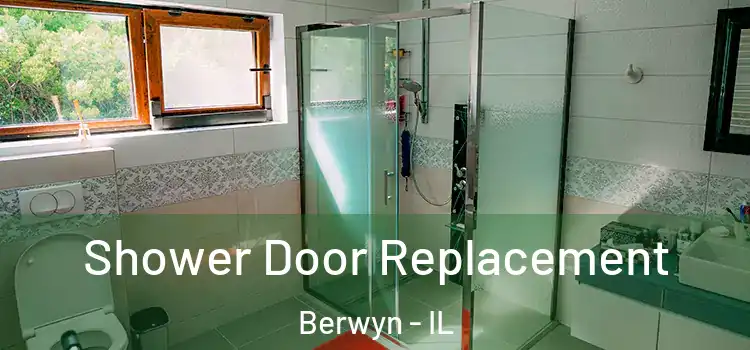 Shower Door Replacement Berwyn - IL